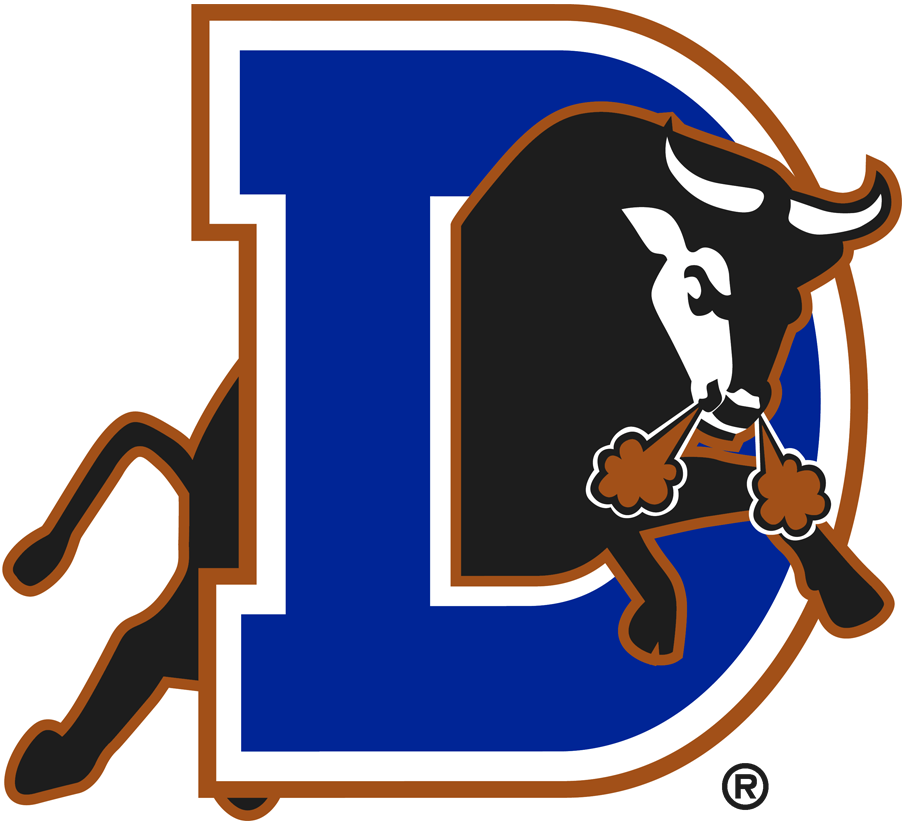 Durham Bulls 1998-Pres Primary Logo iron on transfers for T-shirts